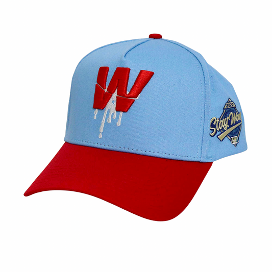 "SORRY 4 WHAT" SNAPBACK